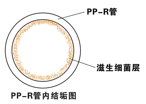 PP-R滲氧，易滋生細(xì)菌，有異味；腐蝕金屬連接件，降低使用壽命
